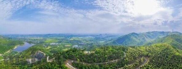 91麻豆视频在线看-91麻豆视频——互联网时代的多元文化视角