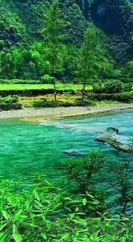 大象视频app官方客服-大象视频APP官方客服，您的娱乐生活贴心守护者