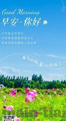 麻豆传媒女主-麻豆传媒，诱人表象下的道德与法律之界