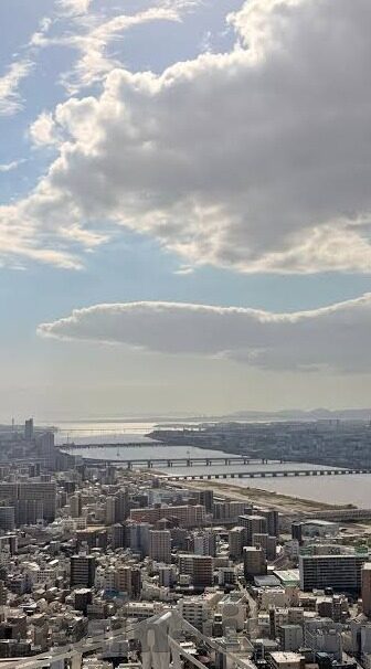 麻豆蜜桃国产精品免费视频-探寻成人内容背后的灰色地带，麻豆蜜桃国产精品视频的浮世绘