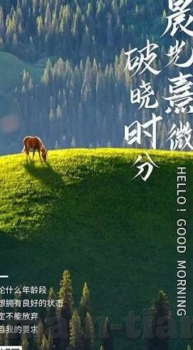 麻豆视频兔子先生-兔子先生与麻豆视频，一次不同寻常的观影邂逅