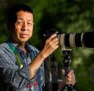 人妻影音先锋-探索人妻影音先锋，家庭与娱乐的和谐共舞